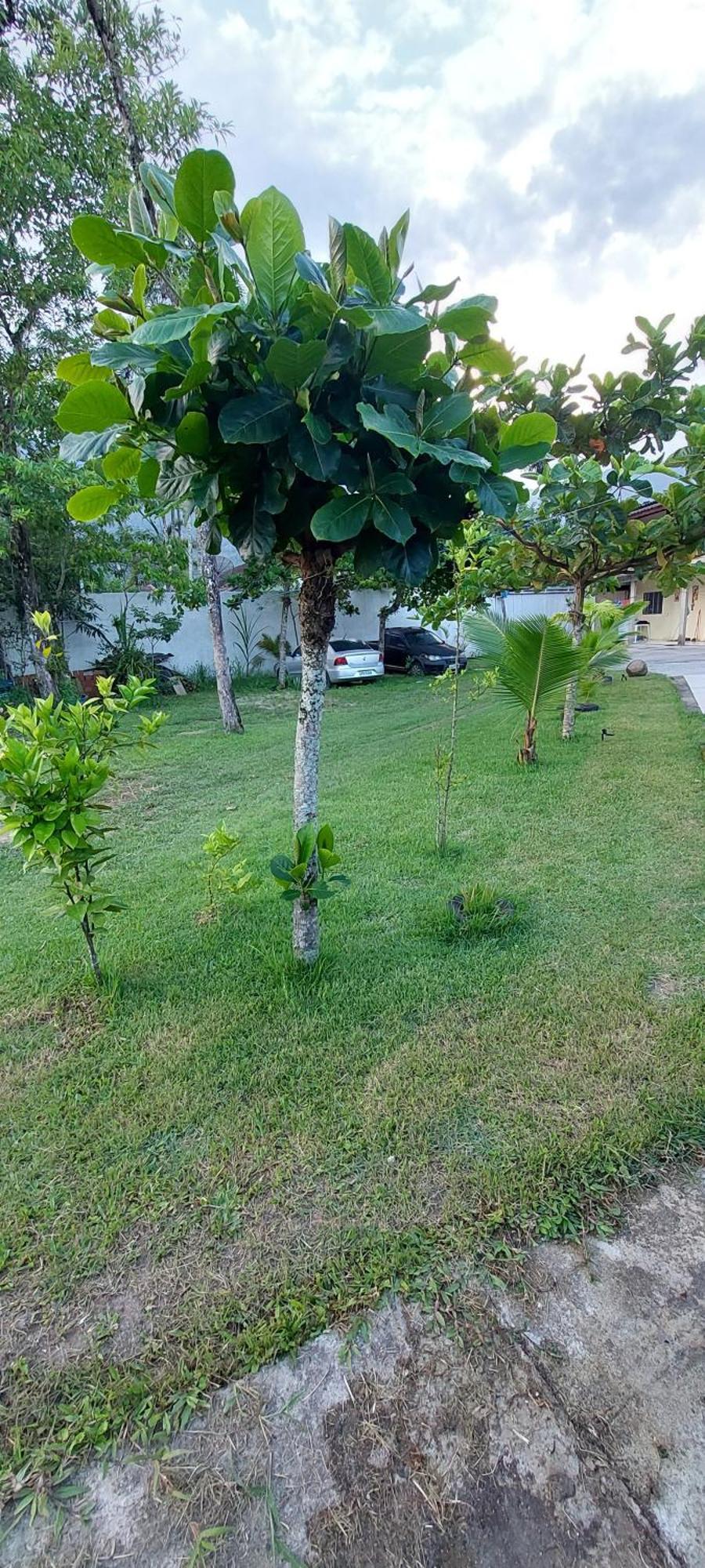 Hospedagem domiciliar Joao E Maria 05 Ubatuba